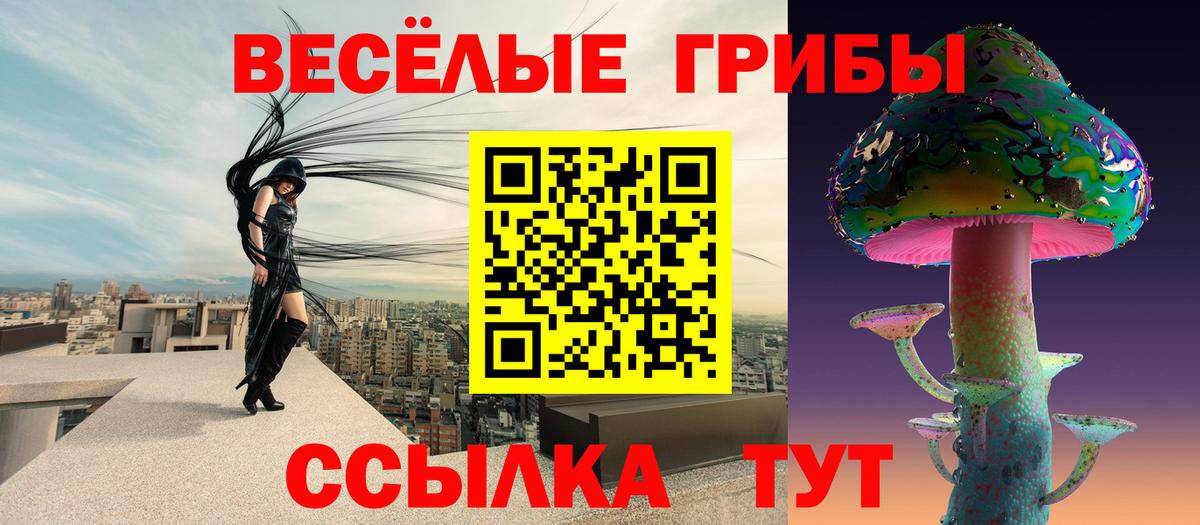Шелехов  купить   Вход с VPN  Псилоцибиновые грибы ЛСД 